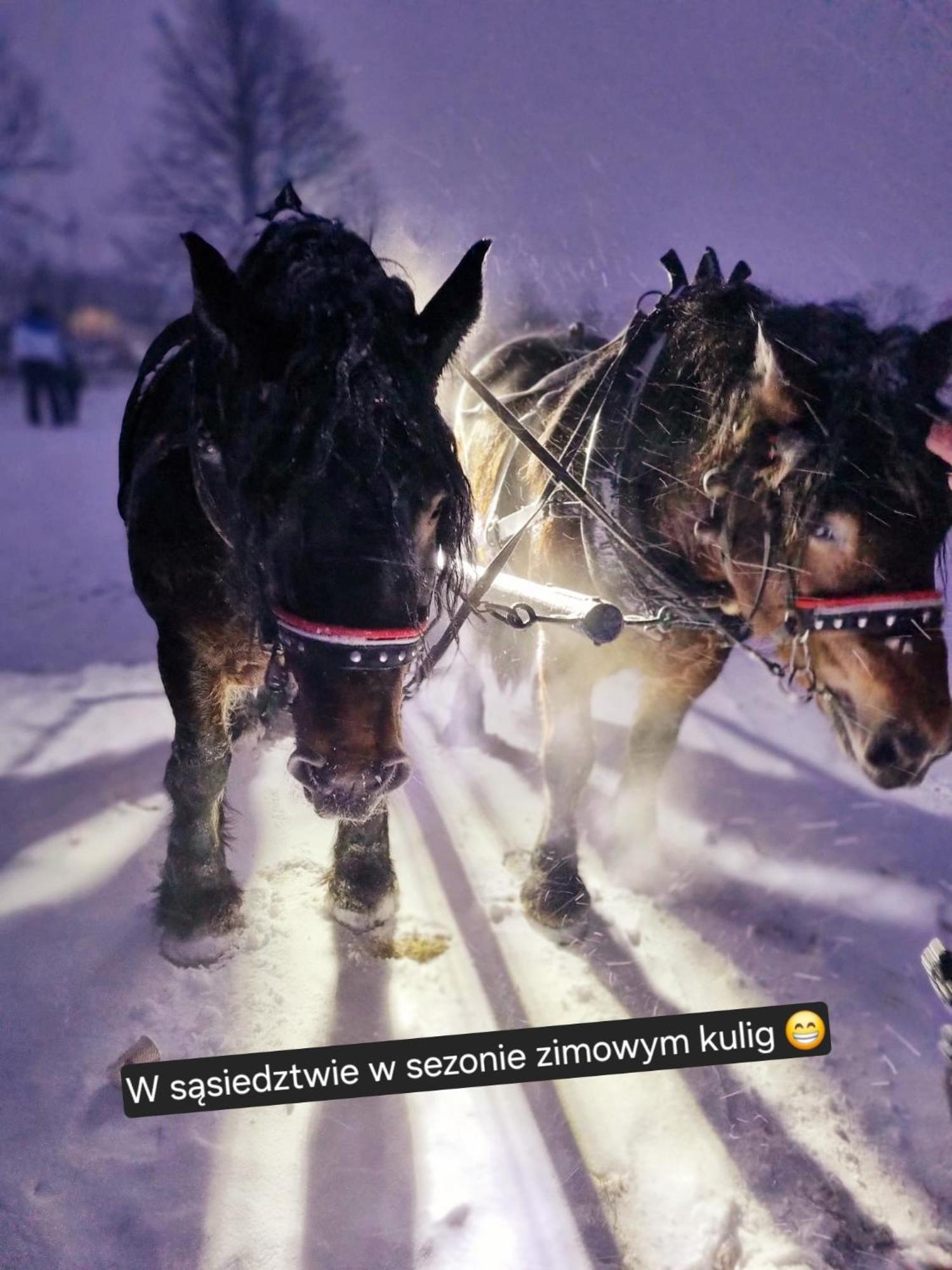 カルパッチ Zacisze W Karkonoszachヴィラ エクステリア 写真